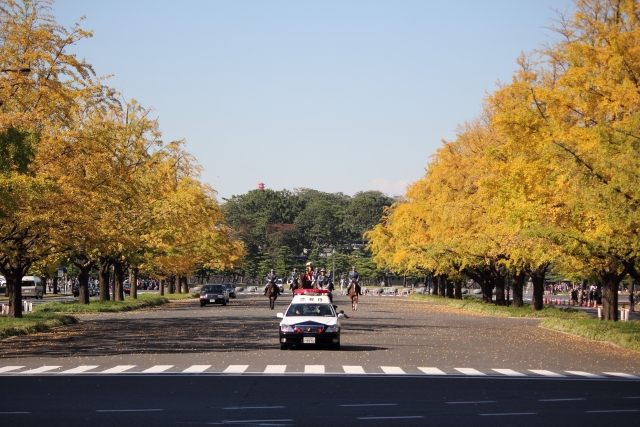 わかりづらいぞ運転免許の点数 かんたんに６点免停までの点数を知る方法 廃車買取おもいでガレージ