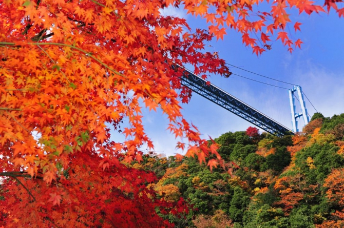 竜神大吊橋と紅葉