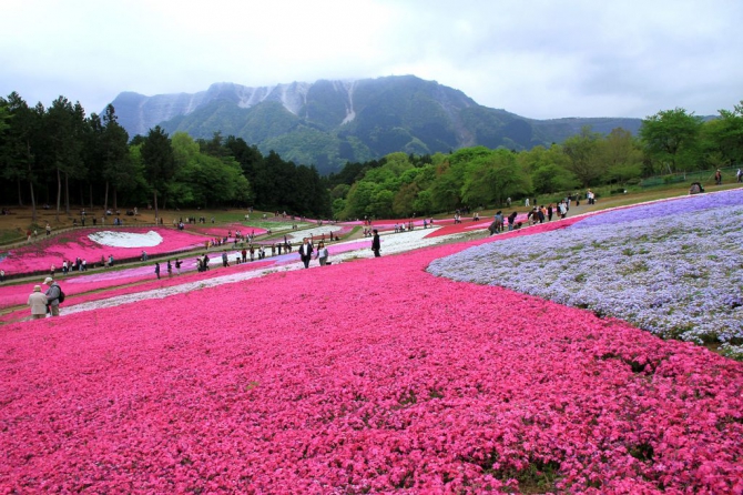 羊山公園